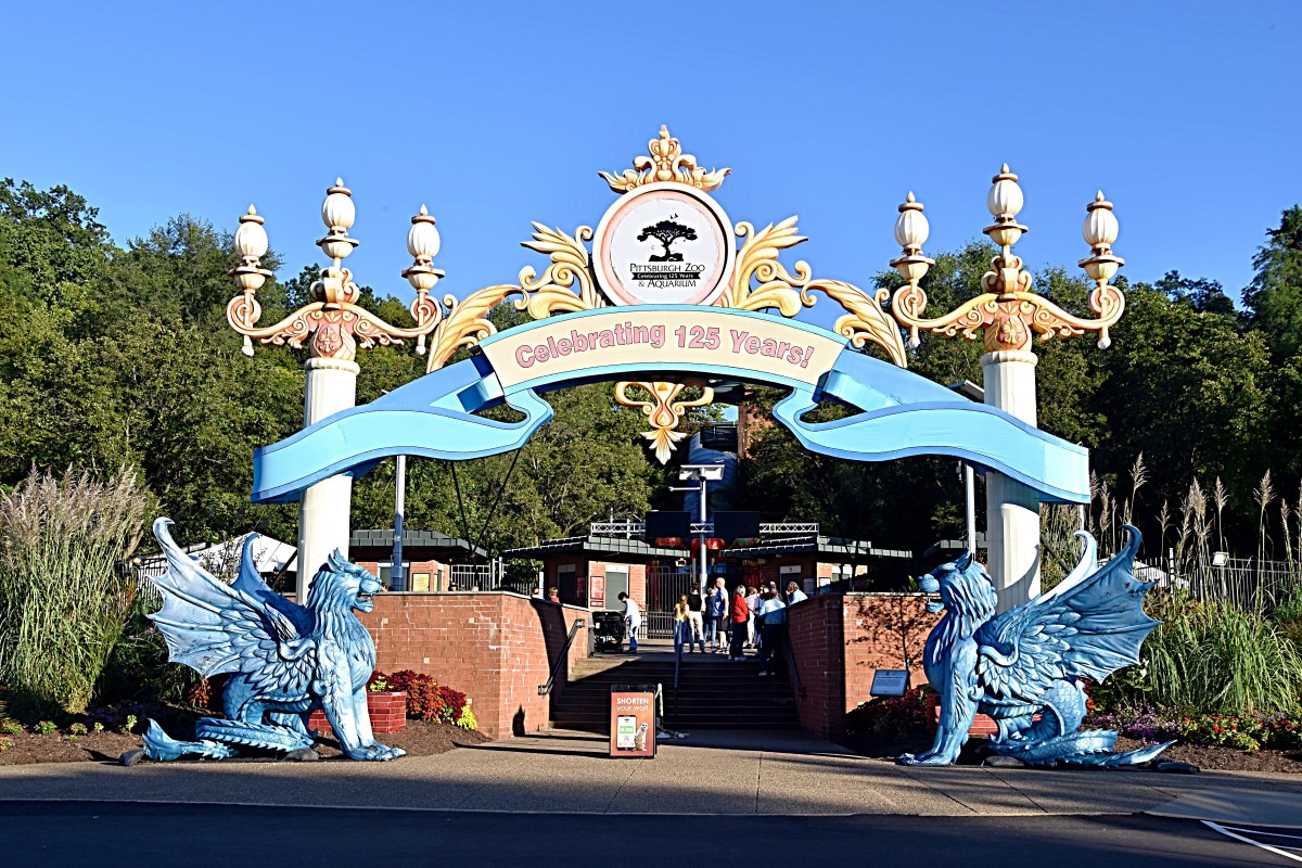 Asian Lantern Festival